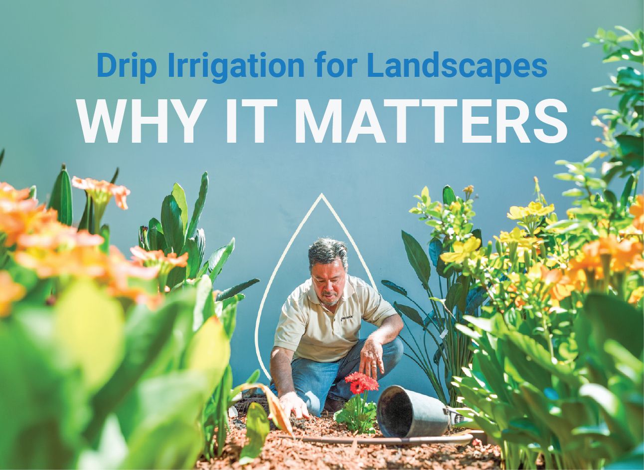 Drip Irrigation for Landscapes: Why It Matters