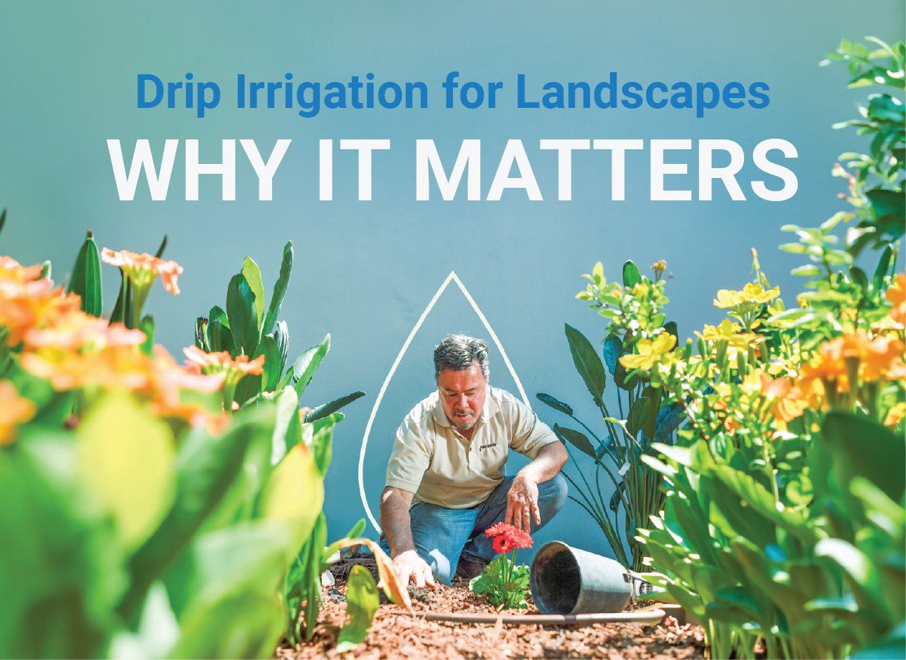Drip Irrigation for Landscapes: Why It Matters