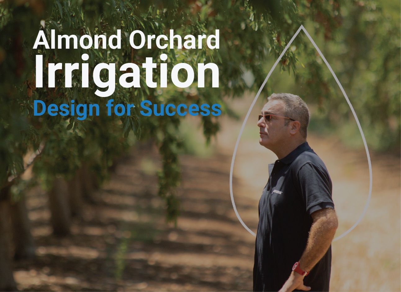 Almond Orchard Irrigation Design for Success