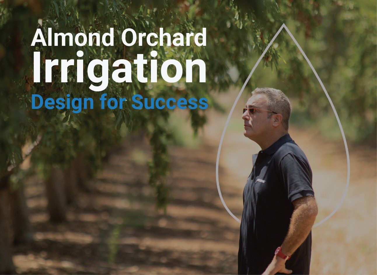Almond Orchard Irrigation Design for Success