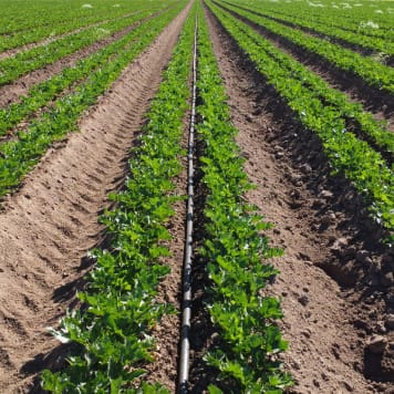 Integration & Scalability