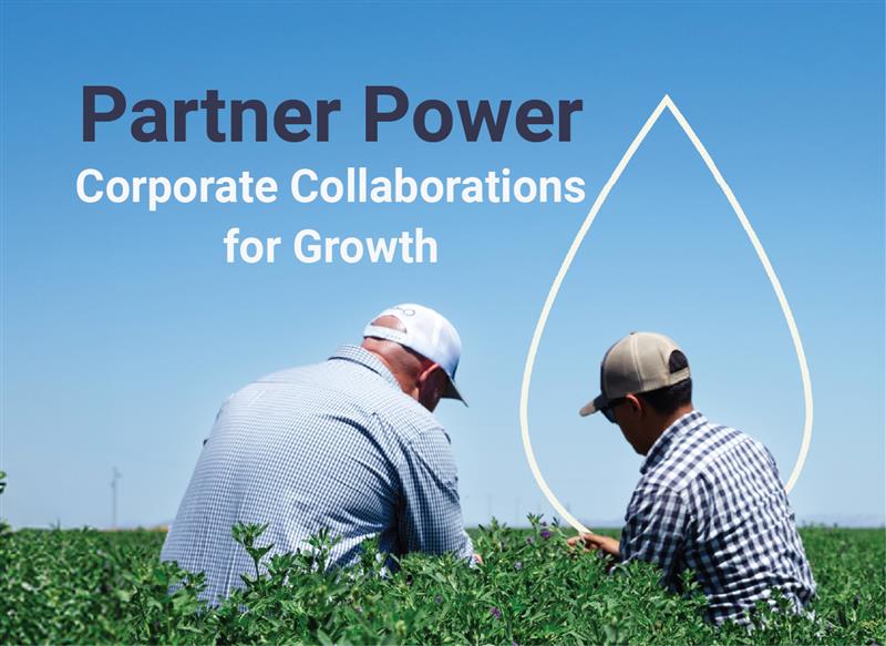 Partner Power: Corporate Collaborations for Growth