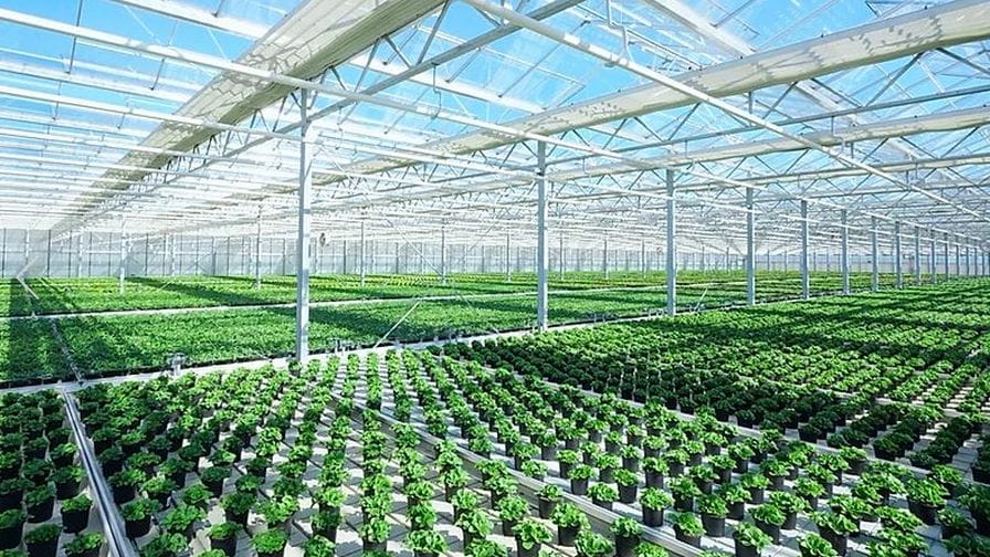 Choosing a Fertigation Approach for Commercial CEA
