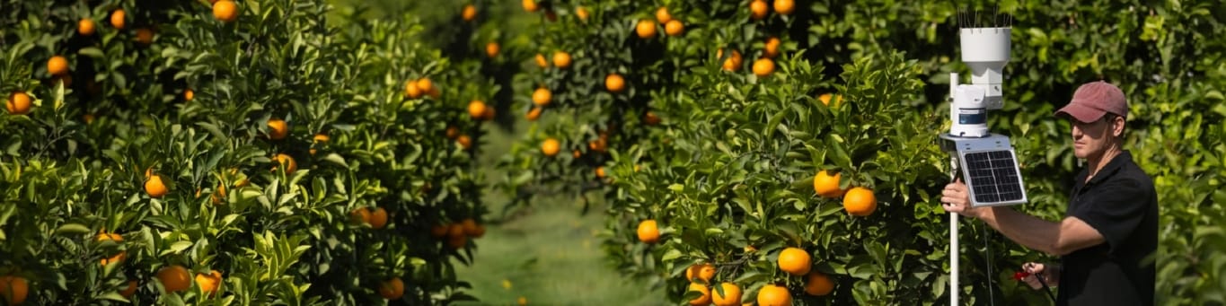 Precision Farming: Integrating Sensors with GrowSphere