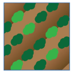 Greater yields, higher grade