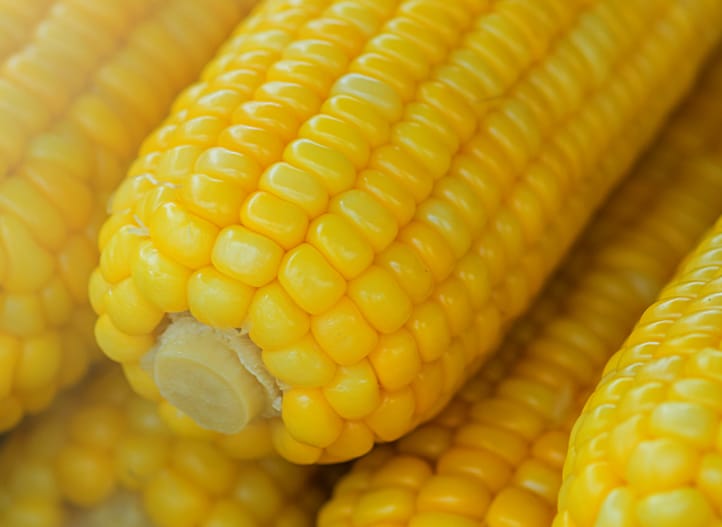 Fertirriego de precisión 