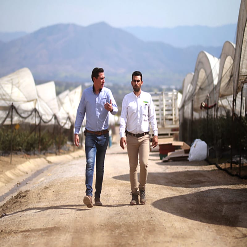 Greenhouse Financing 