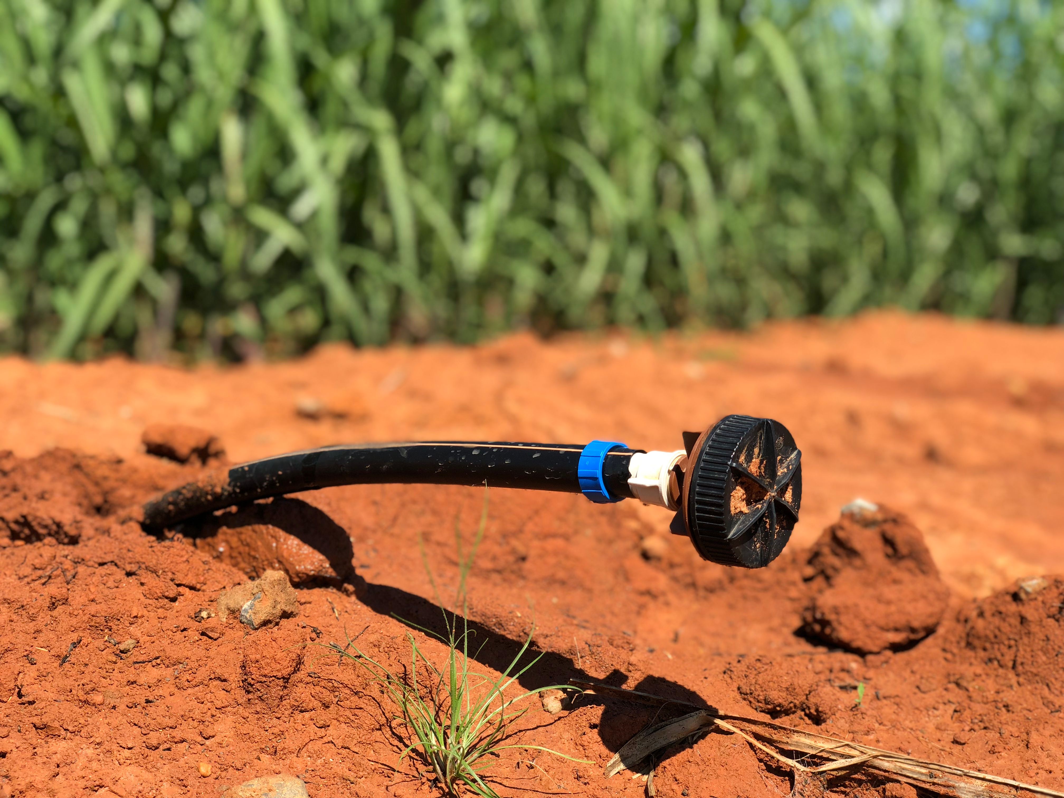 Irrigação inteligente para culturas perenes