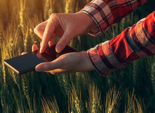 Netafim lança Digital Farming na Agrishow