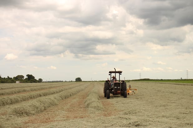 Não tenha medo do clima