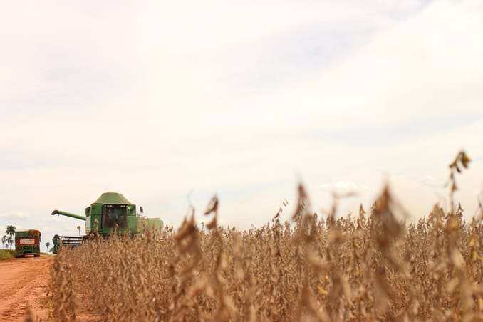 Aumente até 100% da produtividade com a mesma área