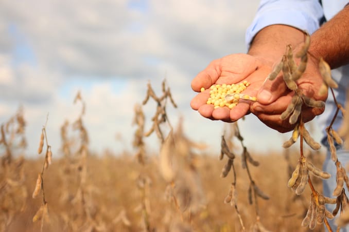 O melhor sistema de irrigação tem retorno garantido