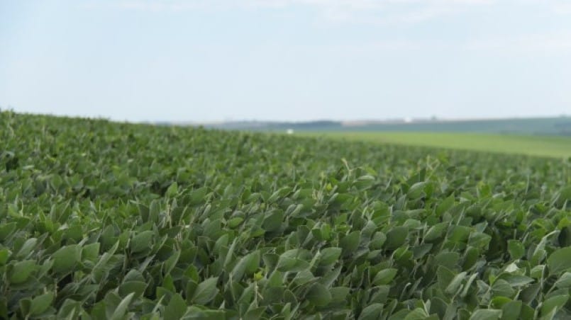Produtividade Recorde ao seu Alcance