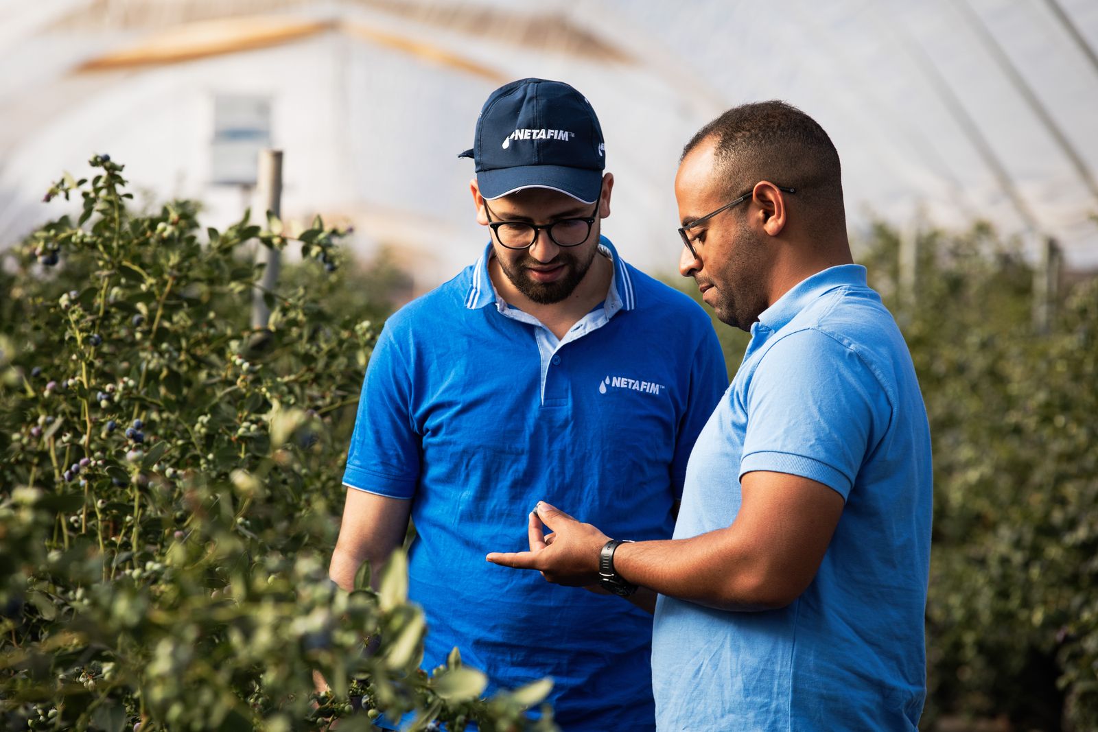 Garantimi nasıl talep ederim? 