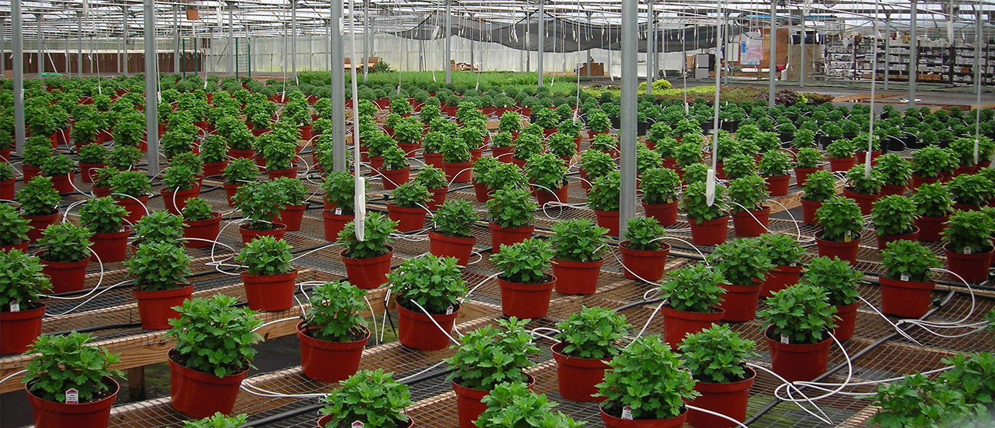 Nursery and Greenhouse Irrigation Products Netafim USA