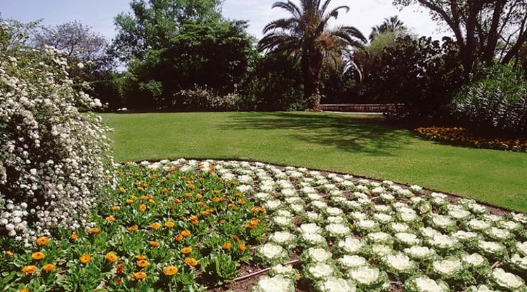 Landscaping with white and yellow flowers in the foreground, green grass in the middle ground, and large trees in the background. 