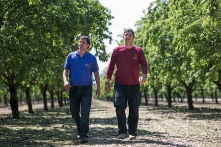 Supporting Almond Orchards with Drip Irrigation