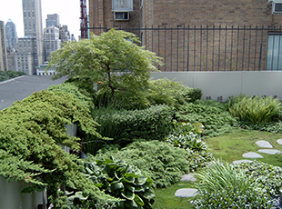 Rooftop Gardens Amid NYC's Tallest Skyscrapers