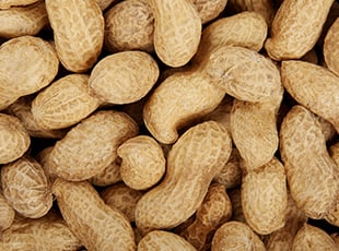 Peanut Production