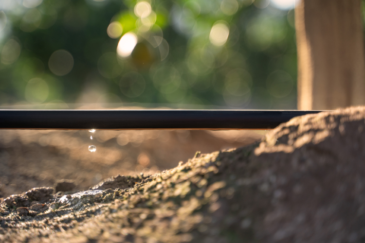 Precision Irrigation for Water Efficient Farming Netafim USA