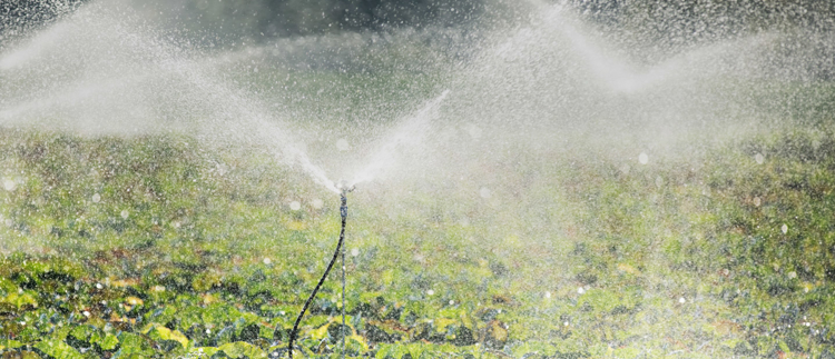 Agricultural Irrigation Sprinkler System
