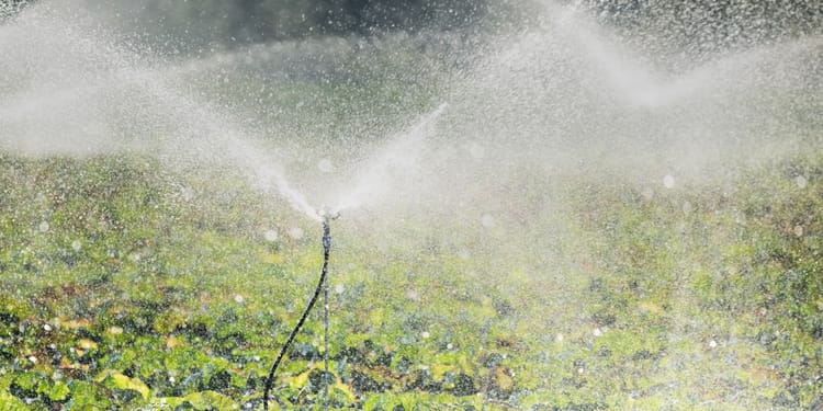 Agricultural Irrigation Sprinkler System