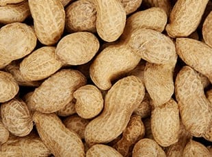 Peanut Production
