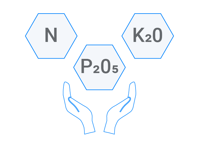 Nutrient Conservation